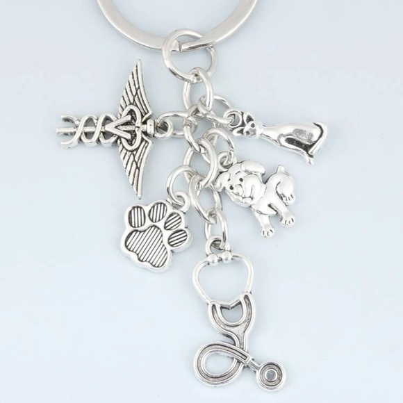 Vet Dog Cat Paw Charm Keychain Silver Plated Veterinarian Gift Pet Lover - Picture 1 of 5